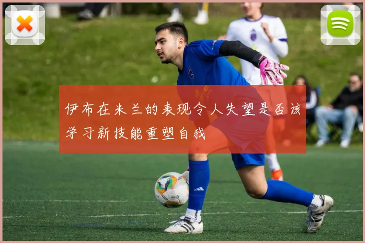 伊布在米兰的表现令人失望是否该学习新技能重塑自我