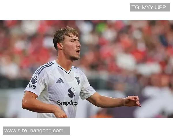 奥卡福进球瞬间意外出现沙滩球引发热刺球迷热议